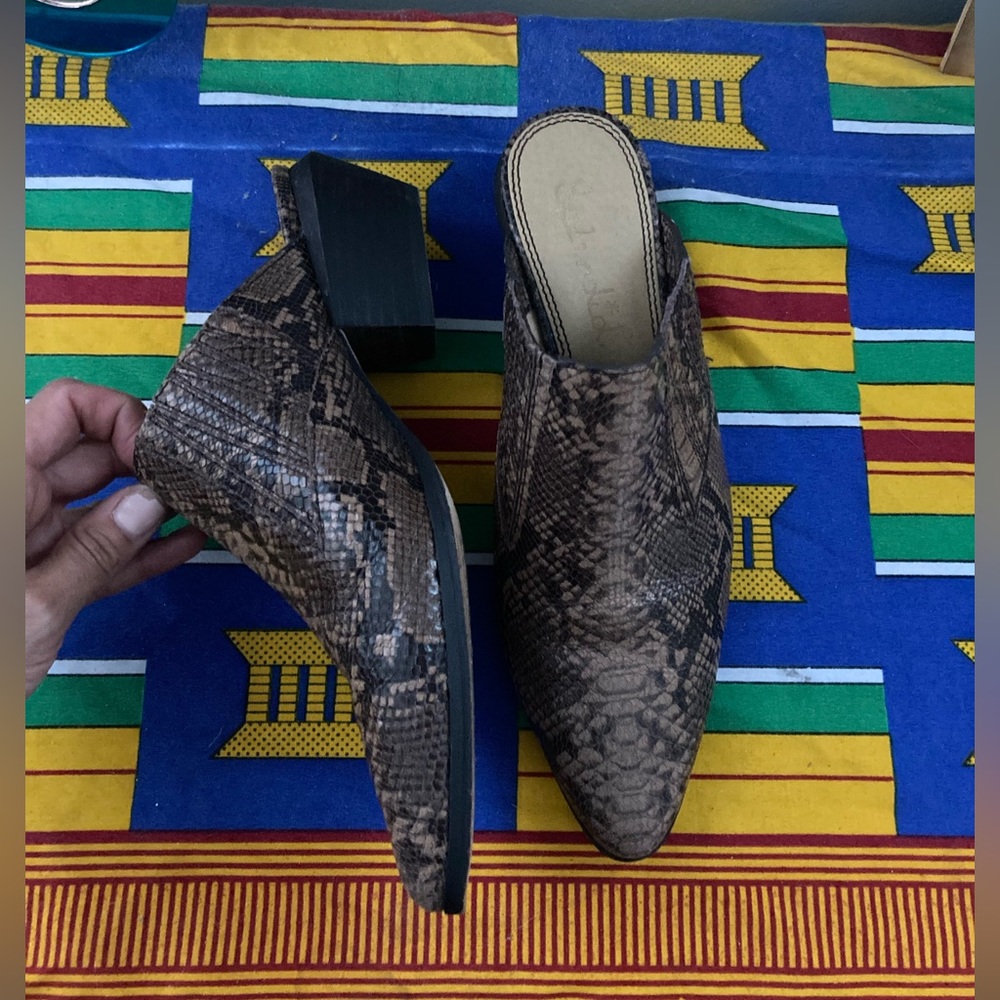 Splendid snake skin mules